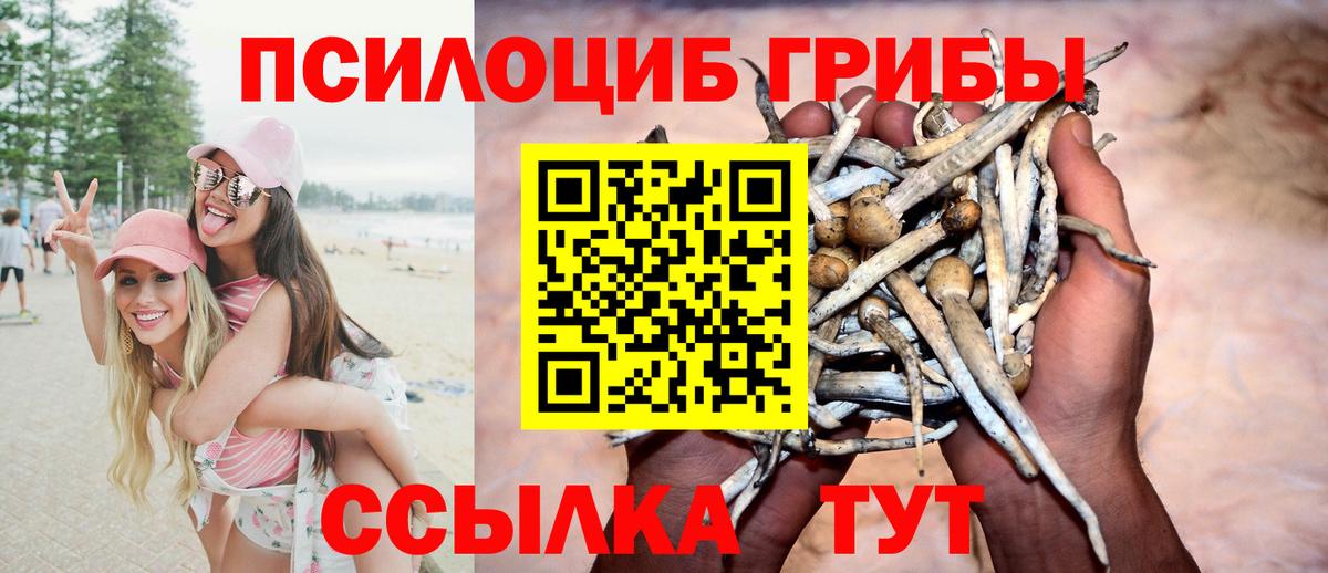 Галлюциногенные грибы прущие грибы  Вход с VPN  Галлюциногенные грибы прущие грибы  Элиста 