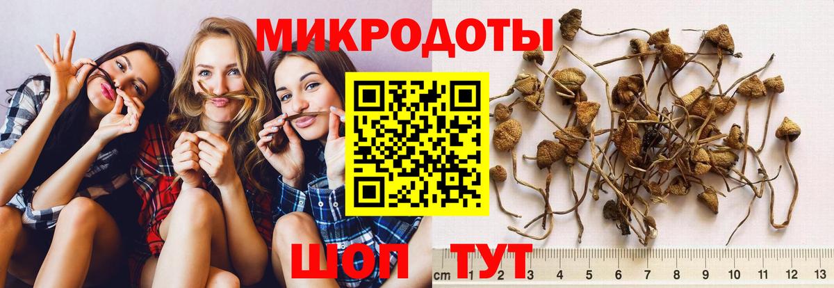 Псилоцибиновые грибы ЛСД Элиста